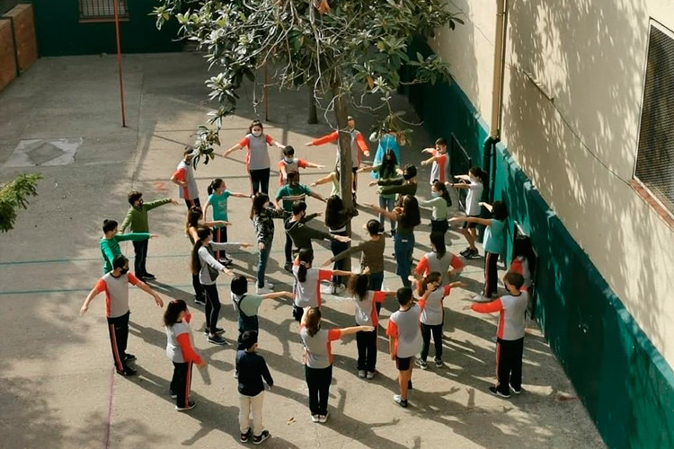 Repte d'abra�ada a un arbre